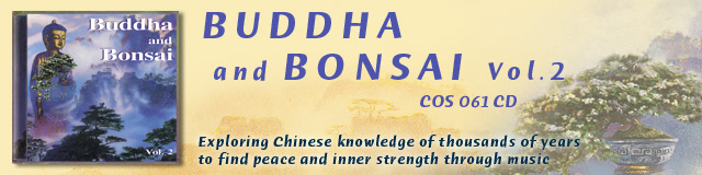 Buddha and Bonsai Vol 2 - Music for meditation, Asia